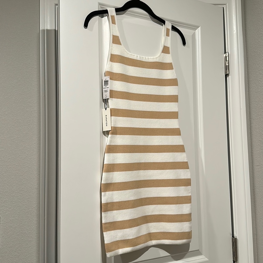 Aritzia Babaton Dress